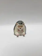 pepeの画像