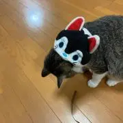 ちび太の画像