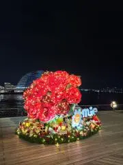 ちぃたの画像