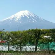 ふじ