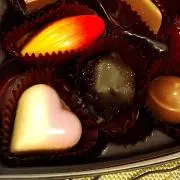 ♡たぬき♡の画像