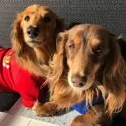 夏物大量出品中!♡ai♡の画像