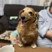 恵の画像