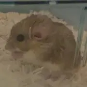 ゆうちゃん プロフ必見！