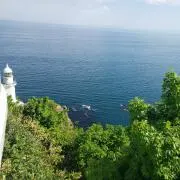 たけしんの画像