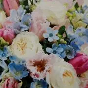 アトリエ月と薔薇✨美帆