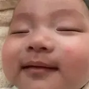 244の画像