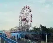 ハナの画像