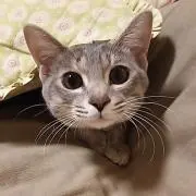 えるママ☆プロフ必読の画像