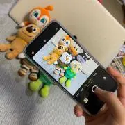 なつの画像