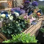 mi____☆*°の画像