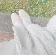 にゃんこの画像
