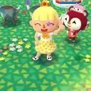 summerの画像