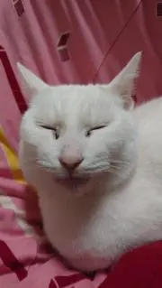 あきちゃん510