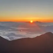 rikuの画像
