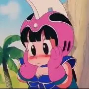 ピカの画像