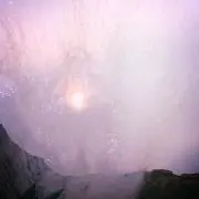 niの画像