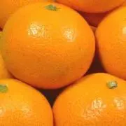 MIKAN
