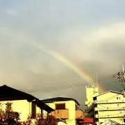 みぃの画像