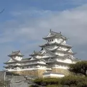 よっしの画像
