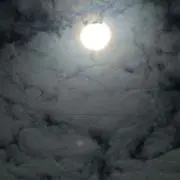 おさむしの画像