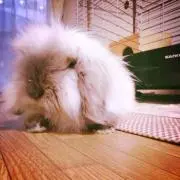 akiymori◎断捨離中です◎の画像