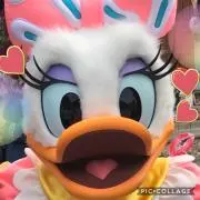 まゆみの画像