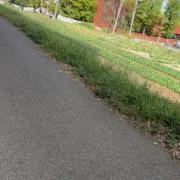 あいうえおの画像