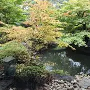 はく