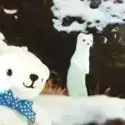 taの画像