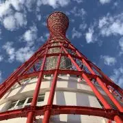 ゆゆの画像