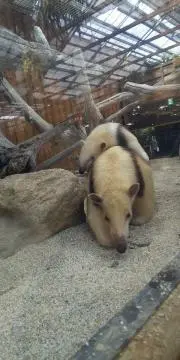 ☆オレンジシャーベット☆の画像