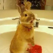 m♡の画像