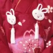 ゆゆ