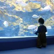 ゆなママ