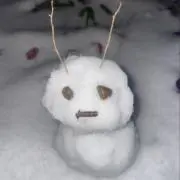 ふゆぞうの画像