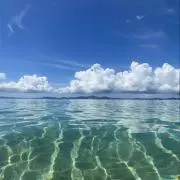 hue81の画像