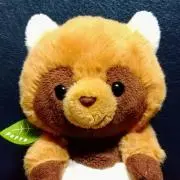 さりーの画像