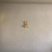 しのぶ