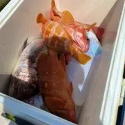 Lサイズポテトの画像