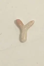 yuyuyuの画像