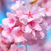 A♪の画像