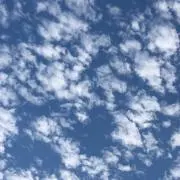 パスタの画像