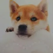 ゆう
