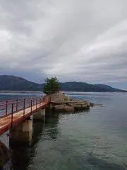 サンキュー