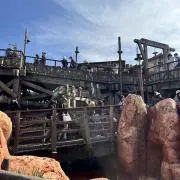 Haruの画像