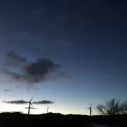 Bunの画像