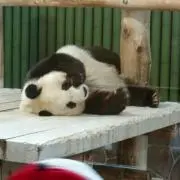 うこ