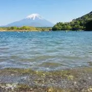 わいだどおぉ