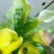 アン♪おまとめ値引き♪